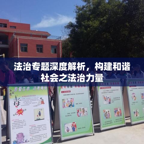 法治專題深度解析，構(gòu)建和諧社會(huì)之法治力量