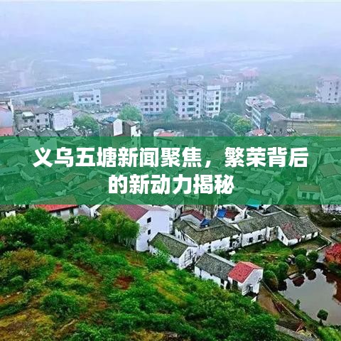 義烏五塘新聞聚焦，繁榮背后的新動力揭秘