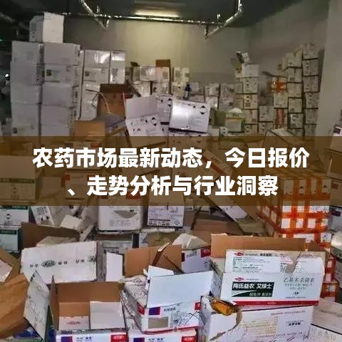 笨鳥先飛