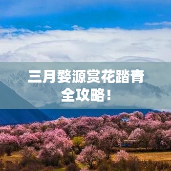 雍榮閑雅