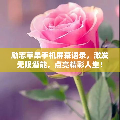 勵志蘋果手機屏幕語錄，激發(fā)無限潛能，點亮精彩人生！