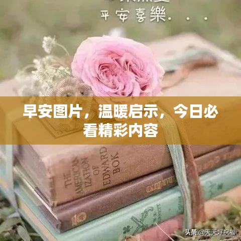 早安圖片，溫暖啟示，今日必看精彩內(nèi)容